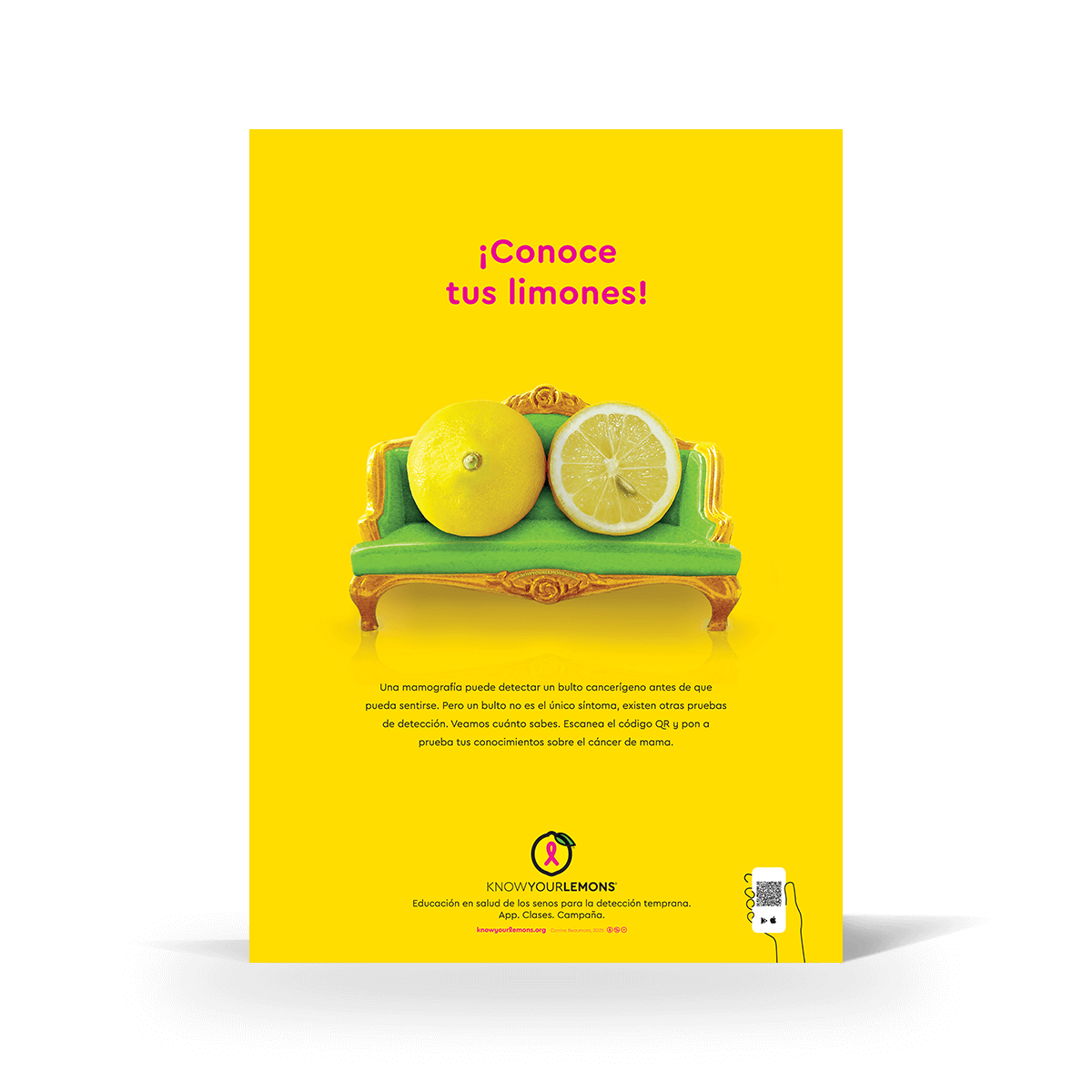 Know Your Lemons Mammogram Poster - Know Your Lemons Breast Cancer Awareness Shop