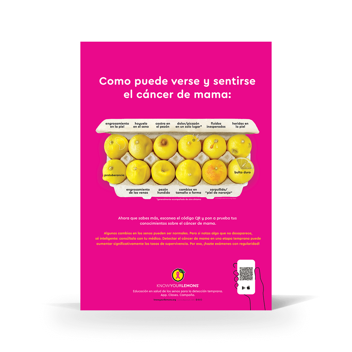 Mammogram 12 Signs of Breast Cancer Poster (multiple languages) - Know Your Lemons Breast Cancer Awareness Shop