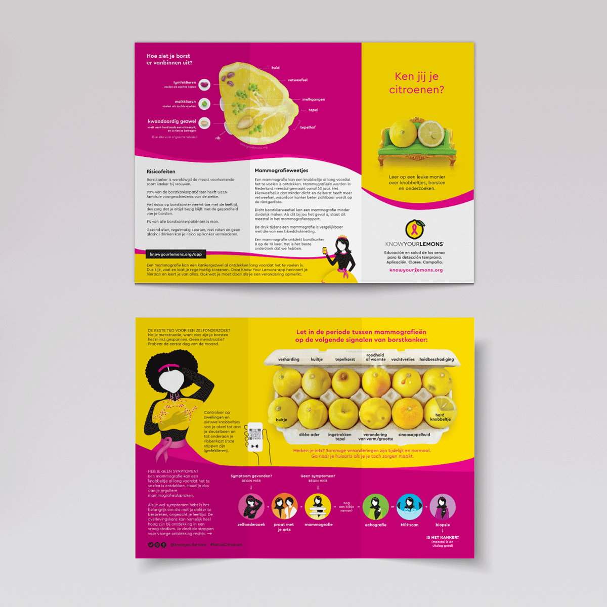 Cobranded Partner Know Your Lemons Breast Cancer Awareness Trifold Brochure Leaflet (customizable for partners, multiple languages) - Know Your Lemons Breast Cancer Awareness Shop