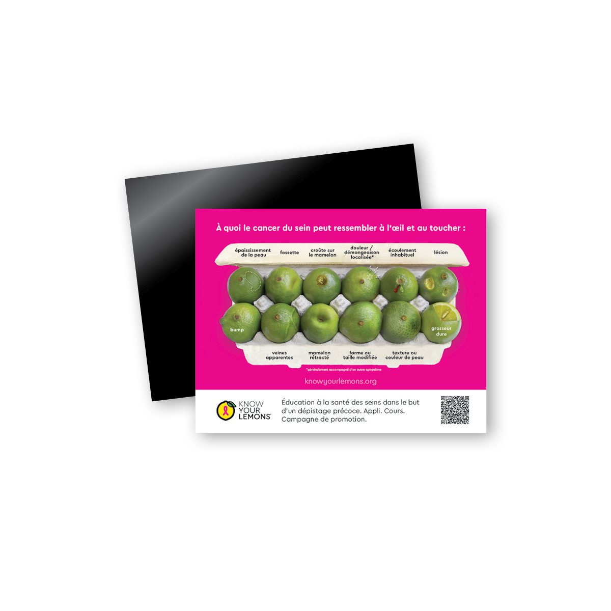 12 Signs of Breast Cancer Magnet (multiple languages)