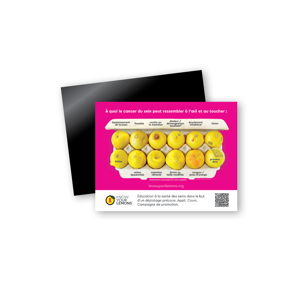 12 Signs of Breast Cancer Magnet (multiple languages)