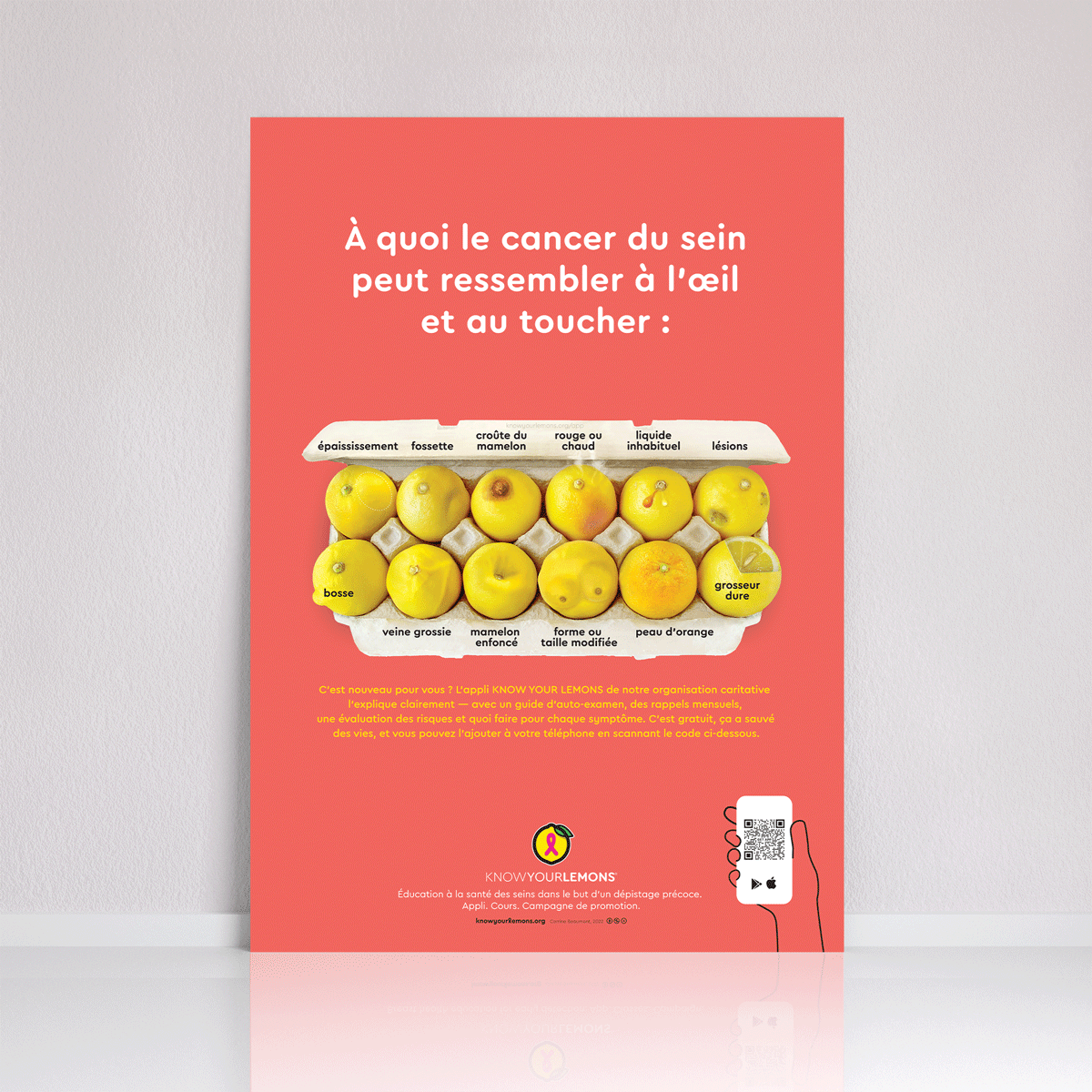 Look + Feel 12 Signs of Breast Cancer Poster (multiple languages) - Know Your Lemons Breast Cancer Awareness Shop