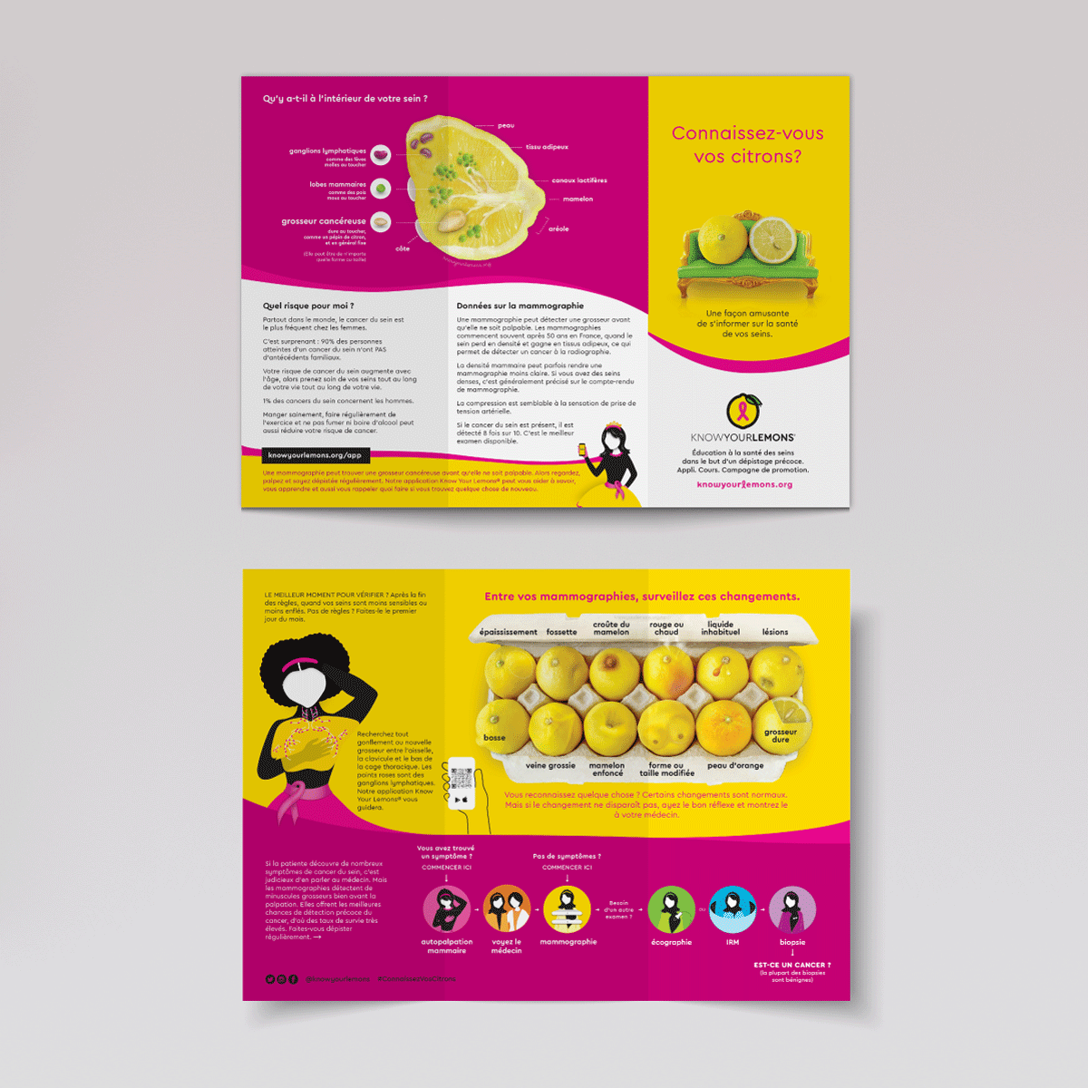 Cobranded Partner Know Your Lemons Breast Cancer Awareness Trifold Brochure Leaflet (customizable for partners, multiple languages) - Know Your Lemons Breast Cancer Awareness Shop