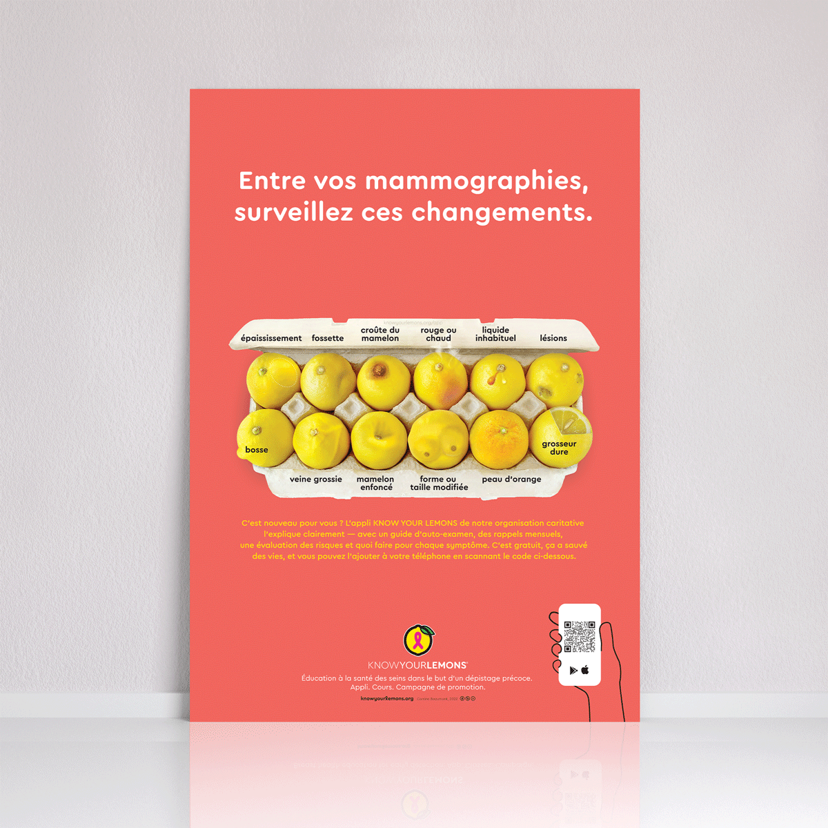 Mammogram 12 Signs of Breast Cancer Poster (multiple languages) - Know Your Lemons Breast Cancer Awareness Shop
