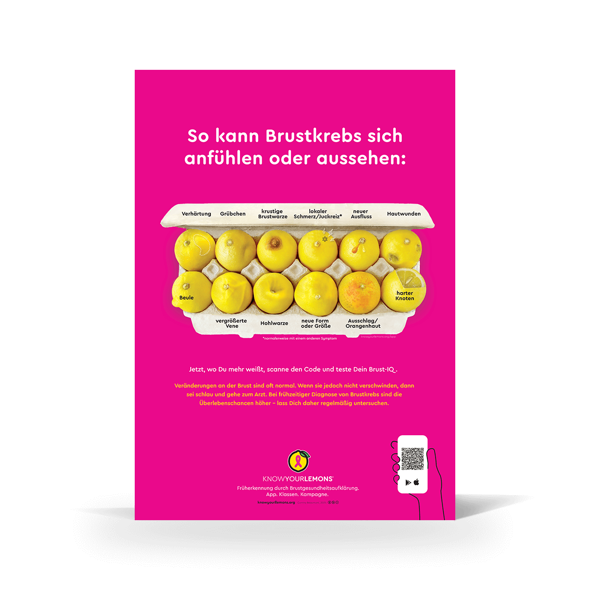 Mammogram 12 Signs of Breast Cancer Poster (multiple languages) - Know Your Lemons Breast Cancer Awareness Shop