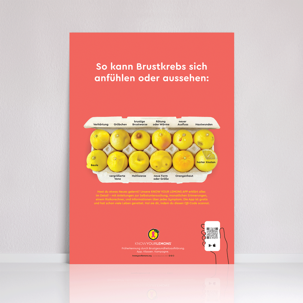 Look + Feel 12 Signs of Breast Cancer Poster (multiple languages) - Know Your Lemons Breast Cancer Awareness Shop