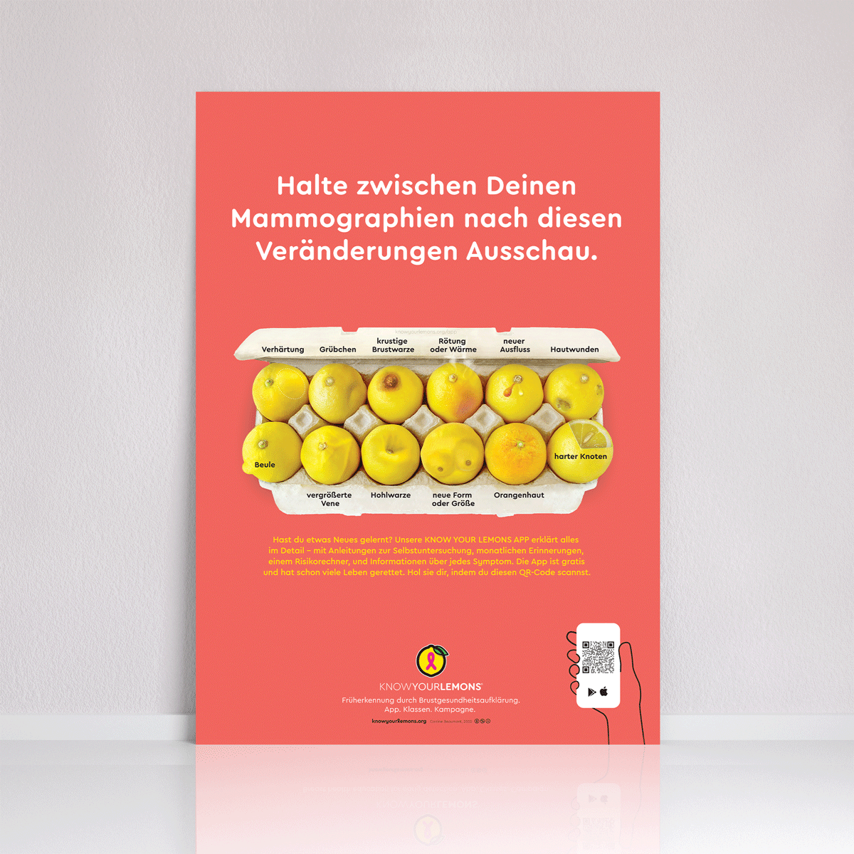 Mammogram 12 Signs of Breast Cancer Poster (multiple languages) - Know Your Lemons Breast Cancer Awareness Shop