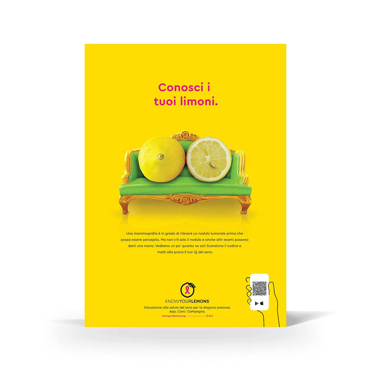 Know Your Lemons Mammogram Poster - Know Your Lemons Breast Cancer Awareness Shop