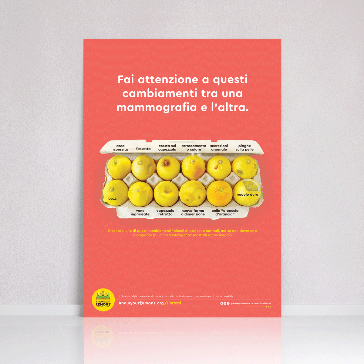 Mammogram 12 Signs of Breast Cancer Poster (multiple languages) - Know Your Lemons Breast Cancer Awareness Shop