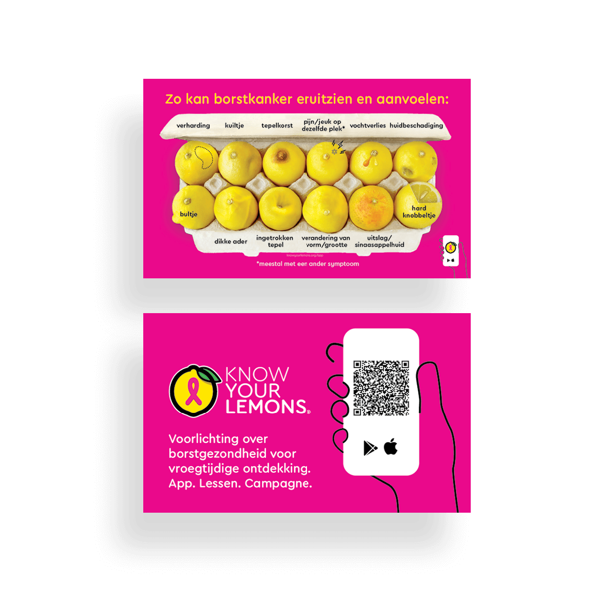 12 Signs: Know Your Lemons Breast Cancer Awareness Cards (1000 count)