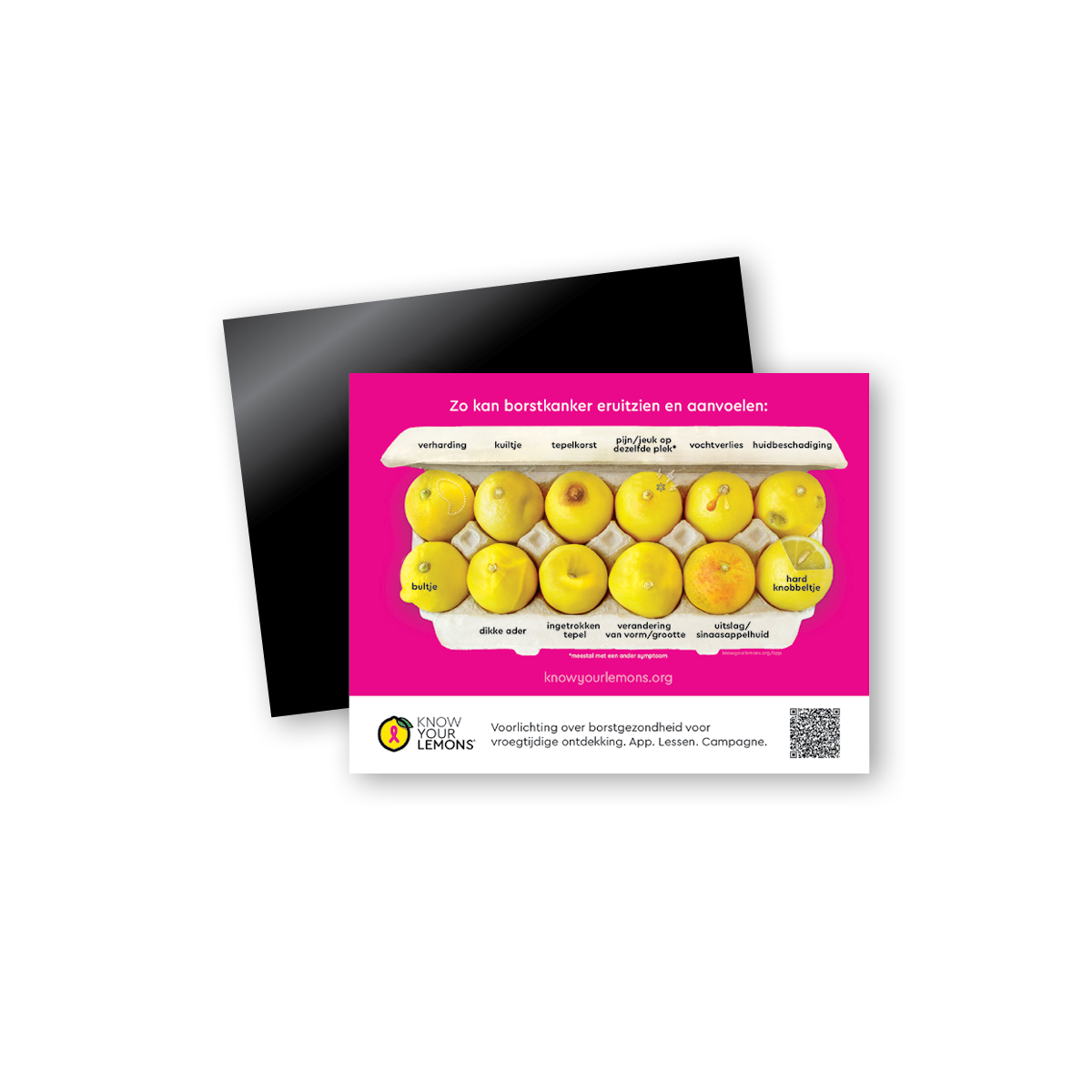 12 Signs of Breast Cancer Magnet (multiple languages)