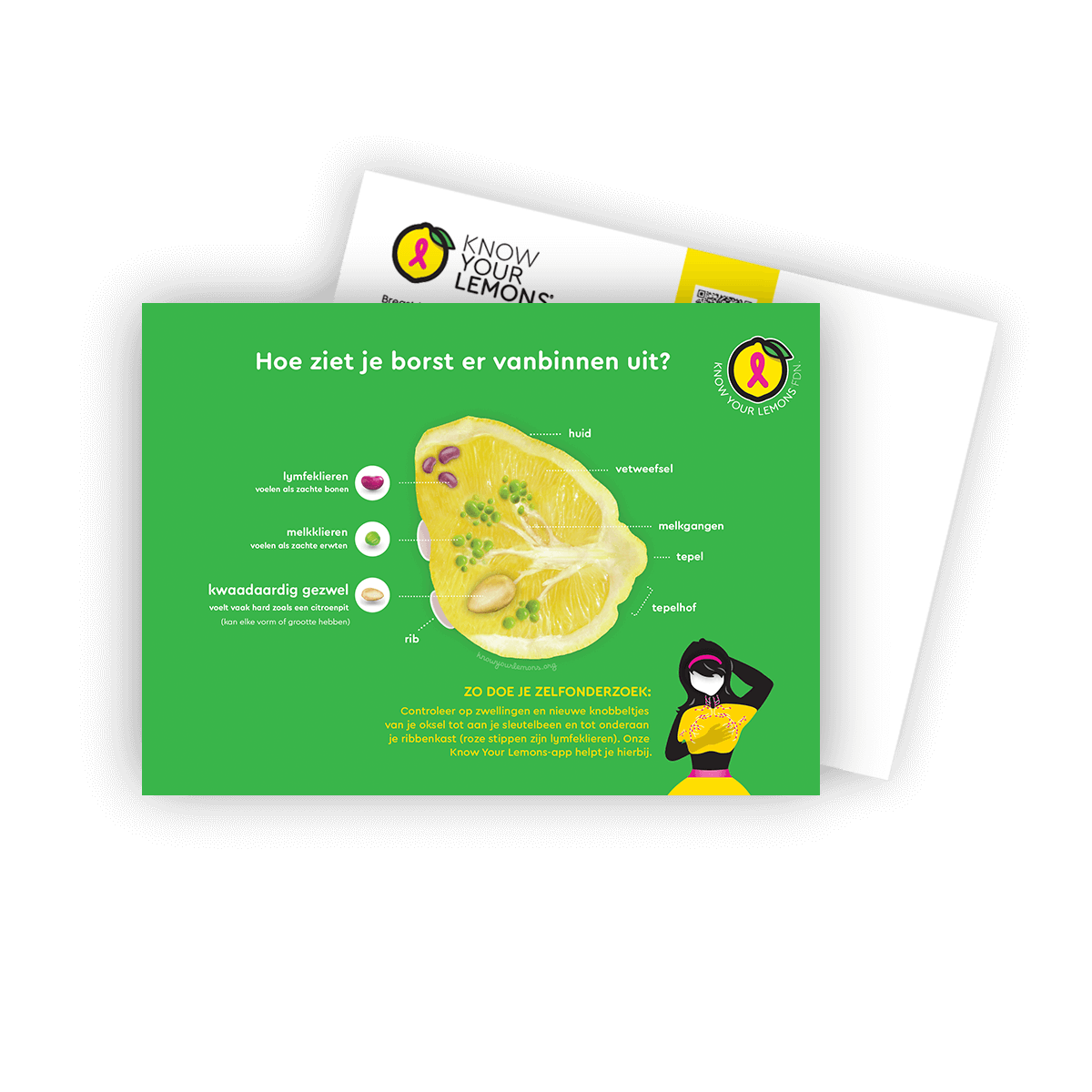 Cobranded Partner Breast Self-Exam Postcard Packs (customizable for partners, multiple languages)