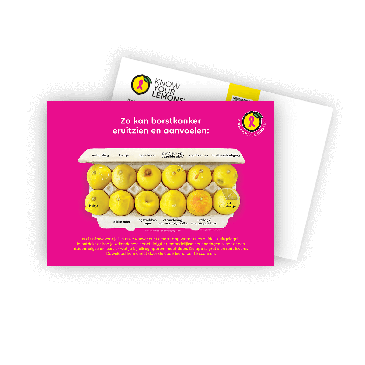 Look + Feel 12 Signs of Breast Cancer Awareness Postcard Packs (multiple languages) - Know Your Lemons Breast Cancer Awareness Shop