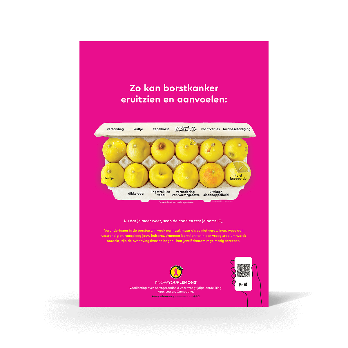 Mammogram 12 Signs of Breast Cancer Poster (multiple languages) - Know Your Lemons Breast Cancer Awareness Shop