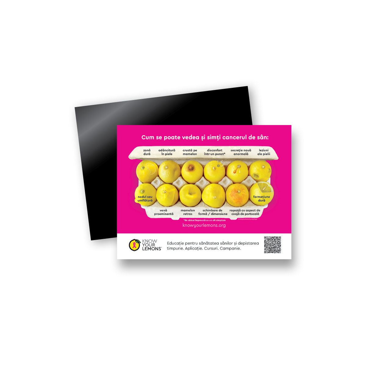 12 Signs of Breast Cancer Magnet (multiple languages) - Know Your Lemons Breast Cancer Awareness Shop