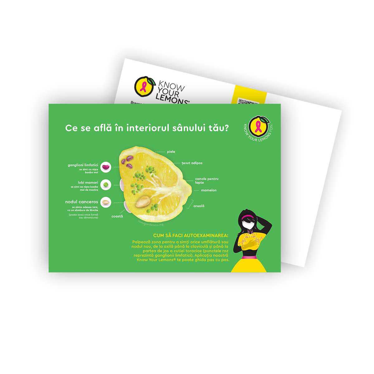Cobranded Partner Breast Self-Exam Postcard Packs (customizable for partners, multiple languages) - Know Your Lemons Breast Cancer Awareness Shop