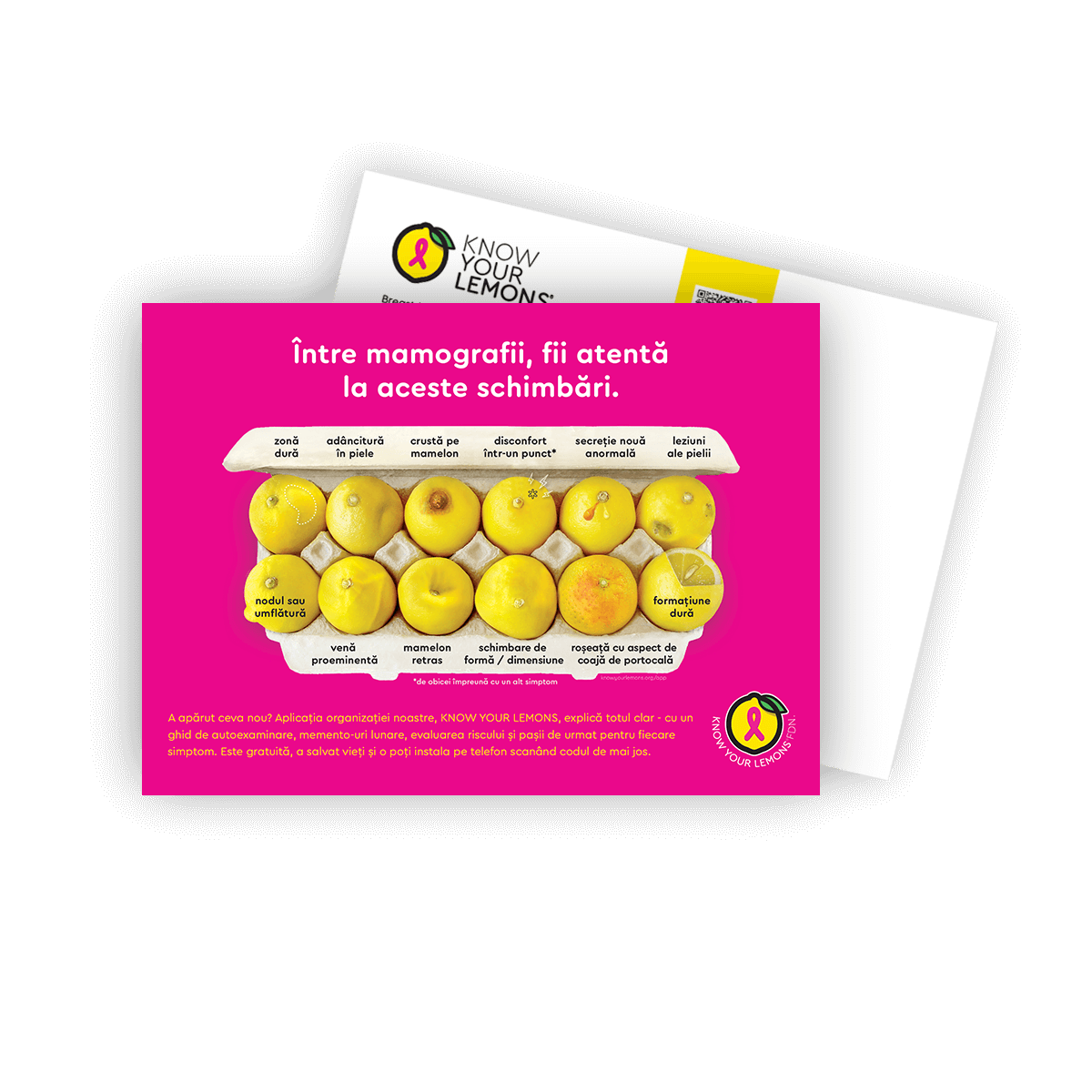 Cobranded Partner Mammogram 12 Signs of Breast Cancer Awareness Postcard Packs (customizable for partners, multiple languages) - Know Your Lemons Breast Cancer Awareness Shop