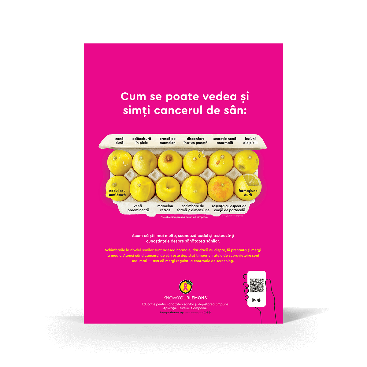 Look + Feel 12 Signs of Breast Cancer Poster (multiple languages)