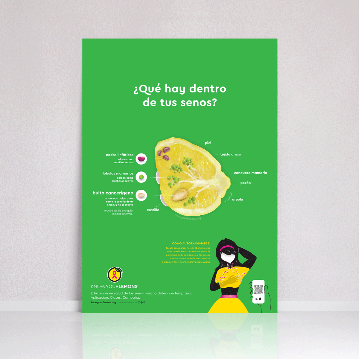 Breast Self-Exam Poster - Know Your Lemons Breast Cancer Awareness Shop