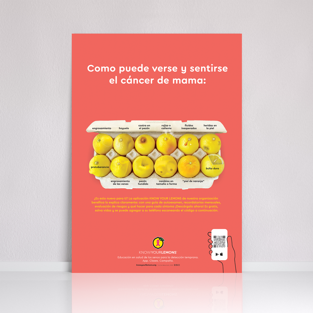 Look + Feel 12 Signs of Breast Cancer Poster (multiple languages) - Know Your Lemons Breast Cancer Awareness Shop