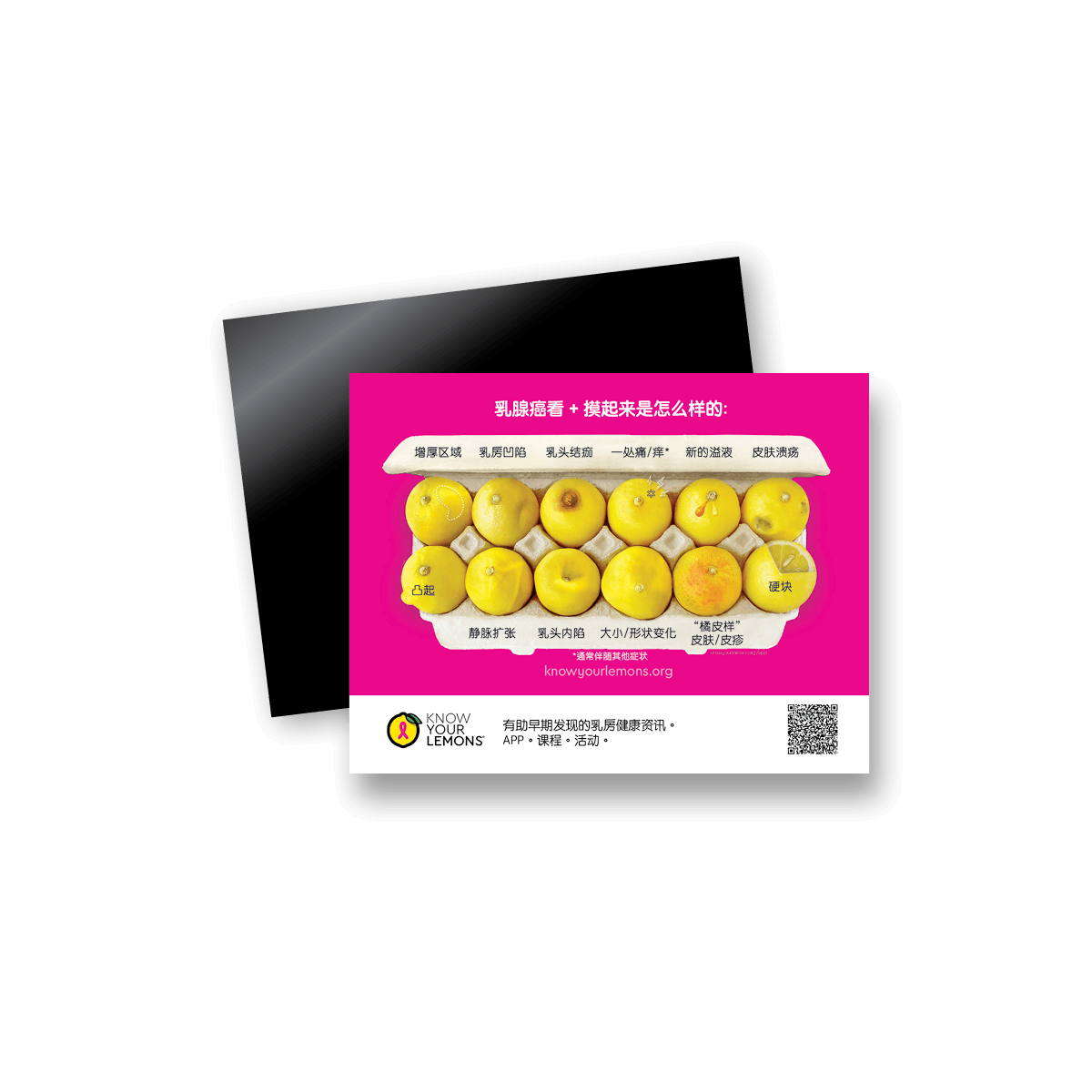 12 Signs of Breast Cancer Magnet (multiple languages) - Know Your Lemons Breast Cancer Awareness Shop