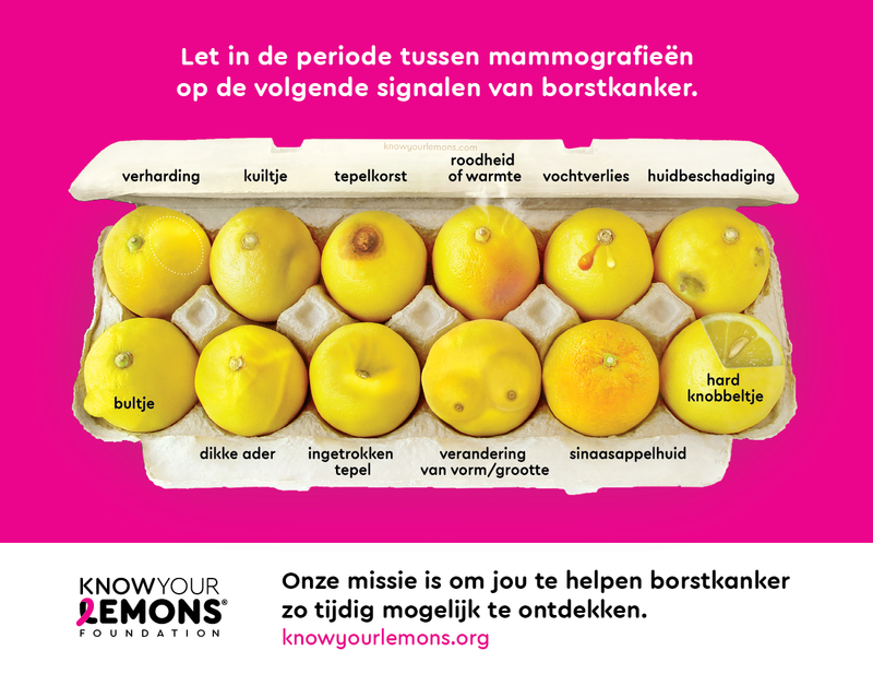 12 Signs of Breast Cancer Magnets (pink, cream, or coral) - Know Your Lemons Breast Cancer Awareness
