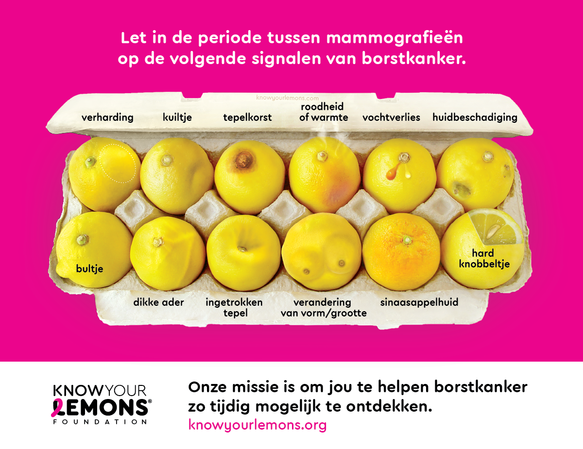 12 Signs of Breast Cancer Magnets (pink, cream, or coral) - Know Your Lemons Breast Cancer Awareness