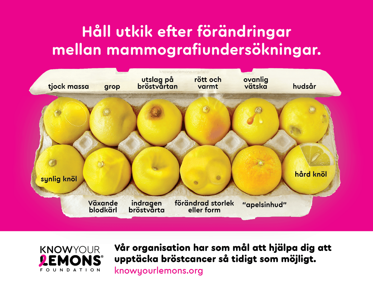 12 Signs of Breast Cancer Magnet (customizable, multiple languages) - Know Your Lemons Breast Cancer Awareness